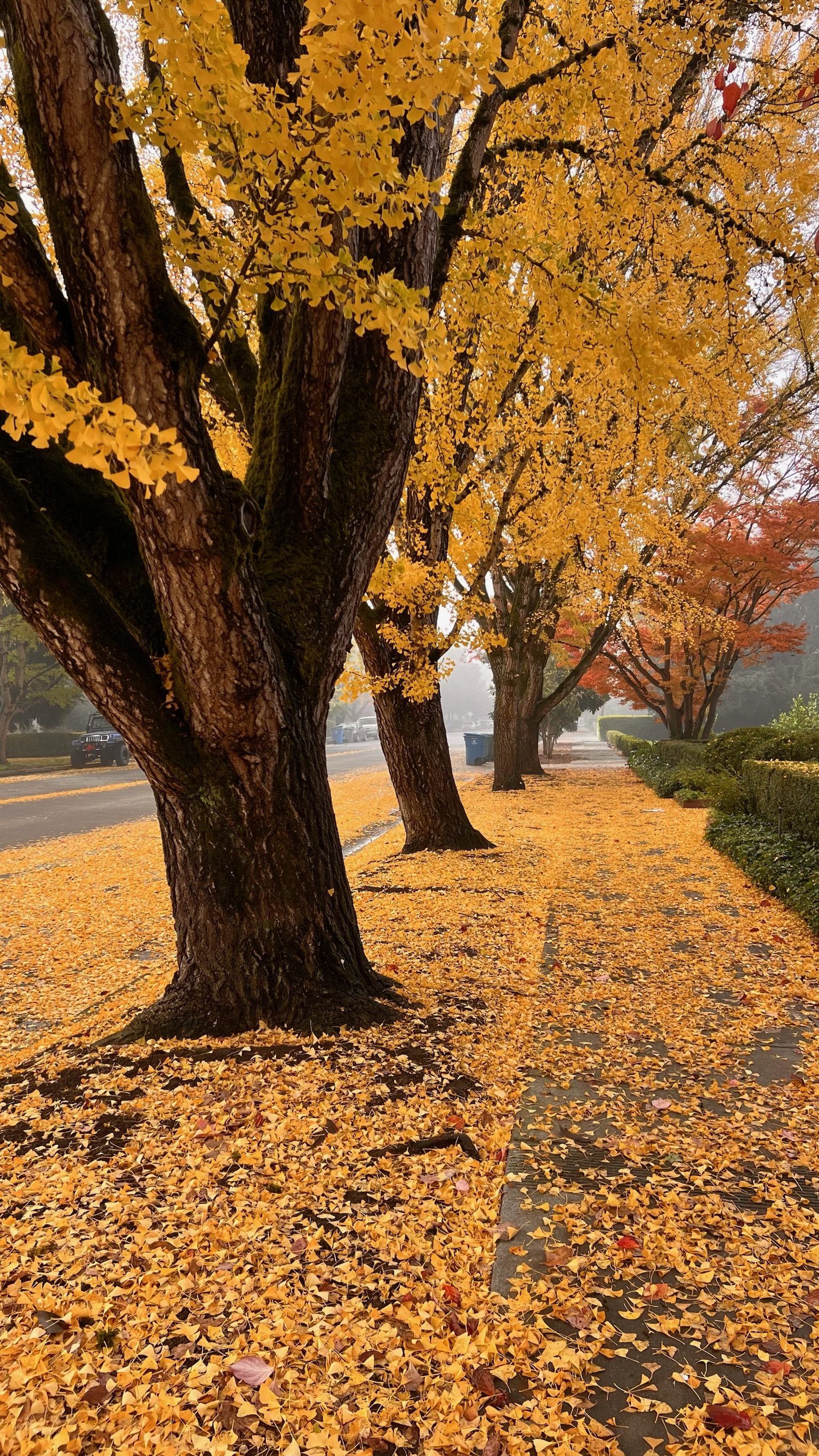 Murat Uraz Photography - 3