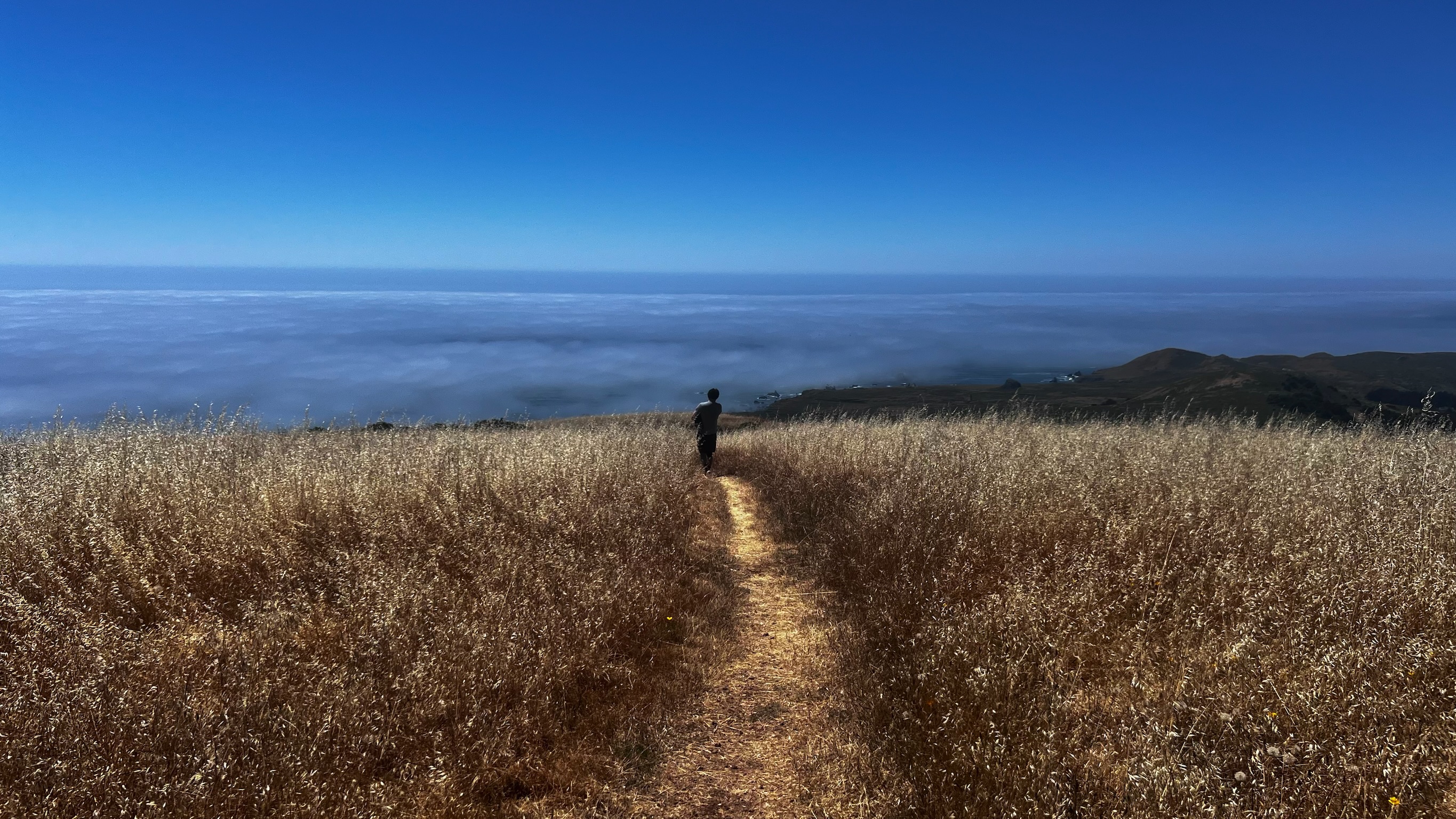 Murat Uraz Photography - 7