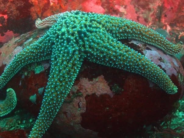 Murat Uraz Photography - 8