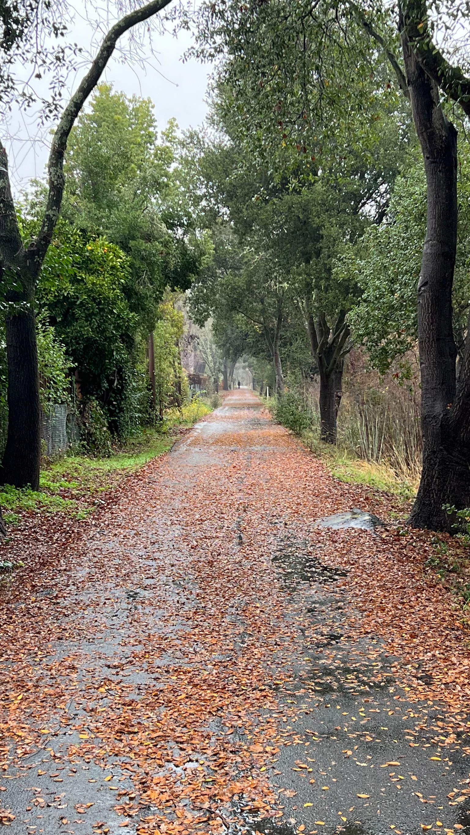 Murat Uraz Photography - 9