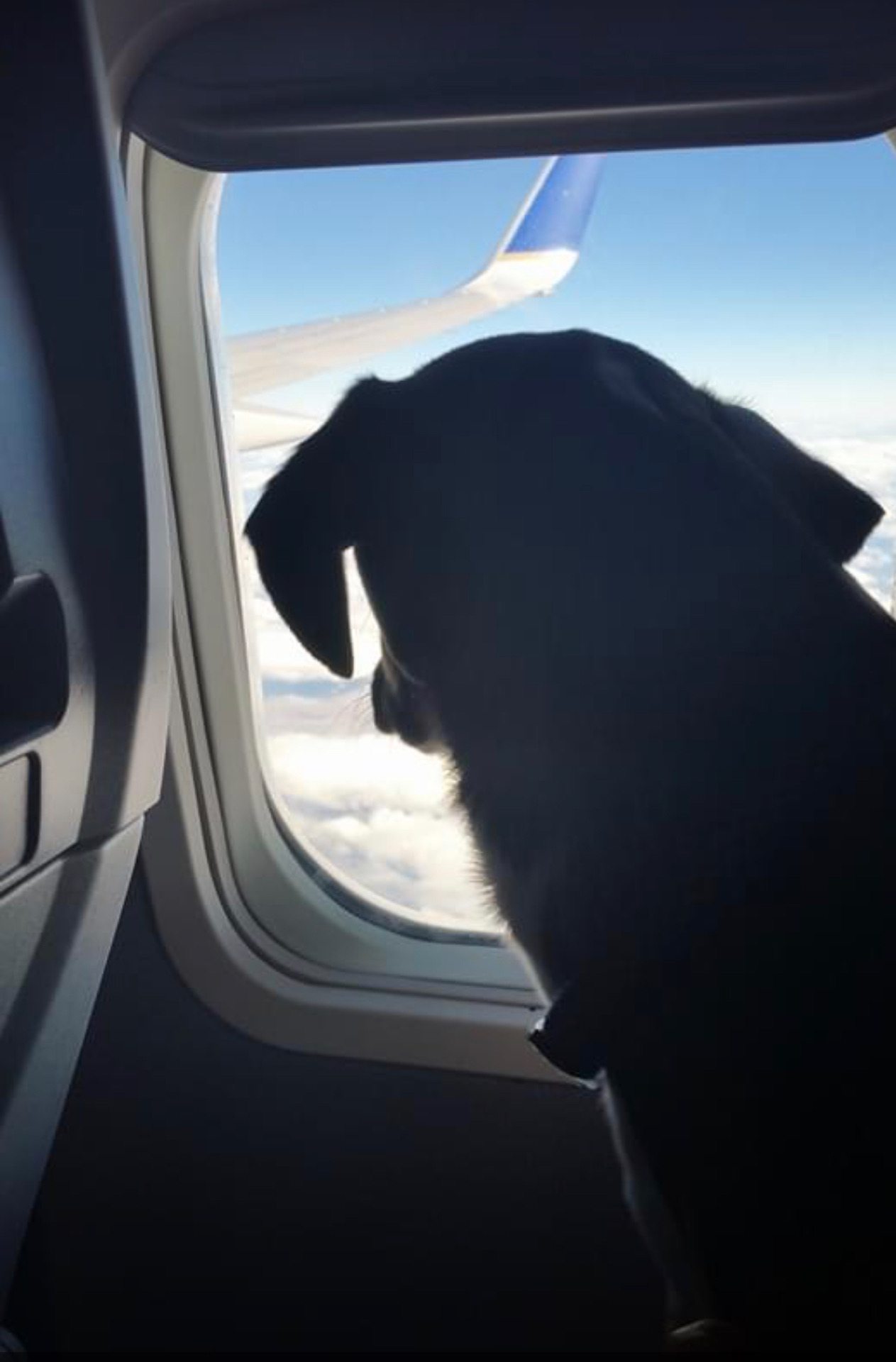 Murat Uraz Photography - 10