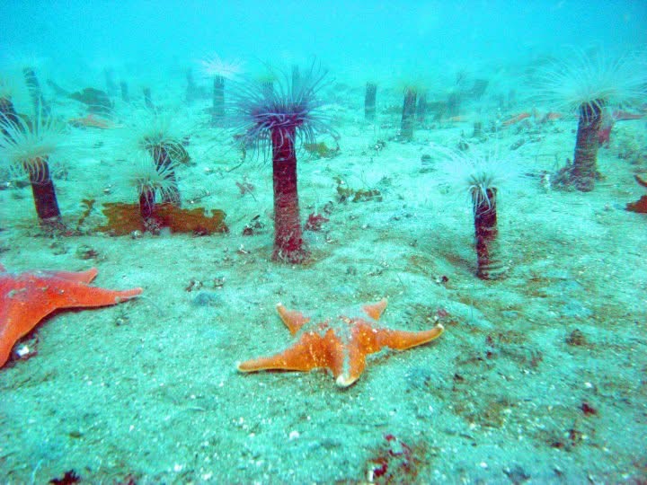 Murat Uraz Photography - 12