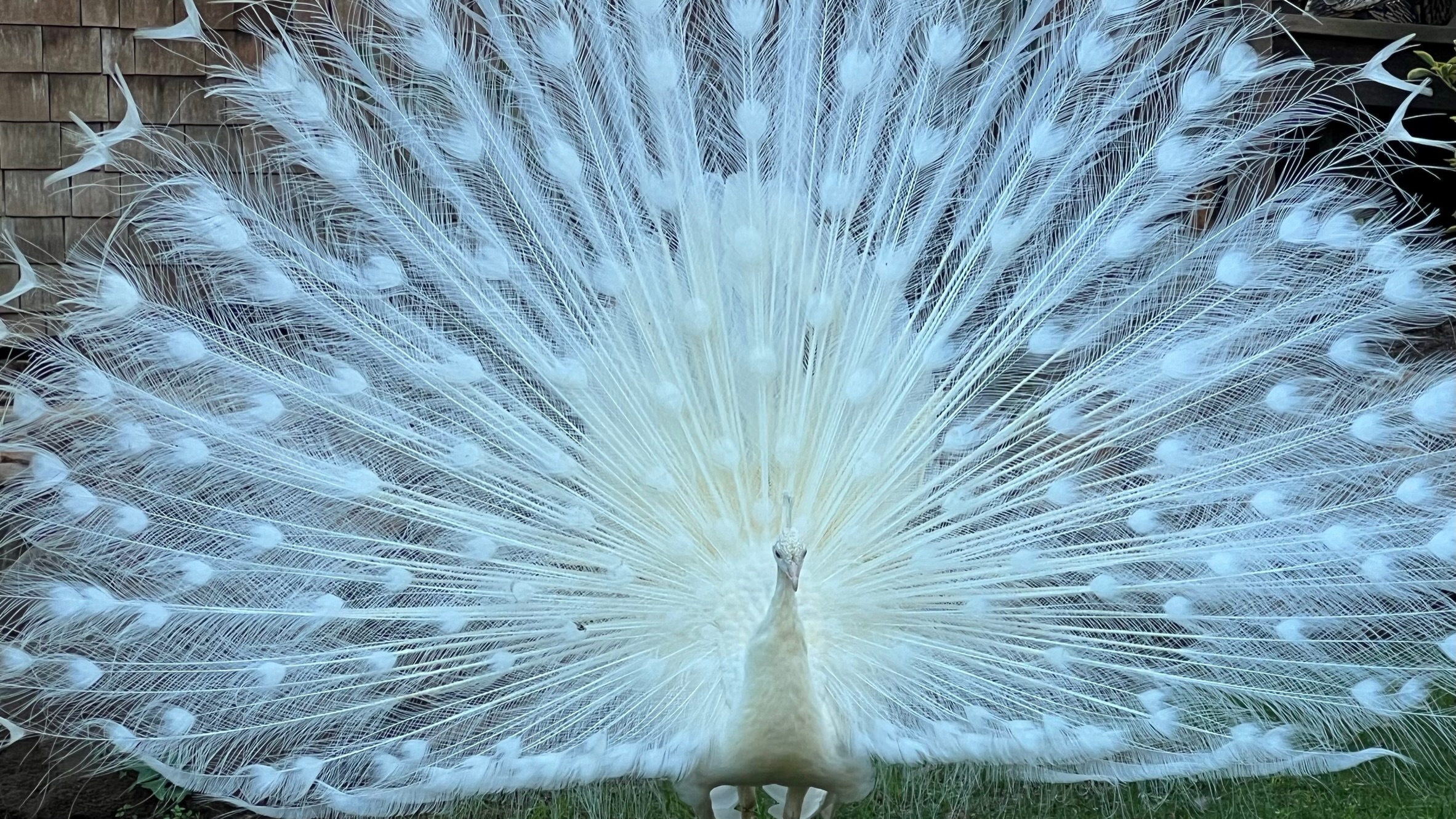 Murat Uraz Photography - 14