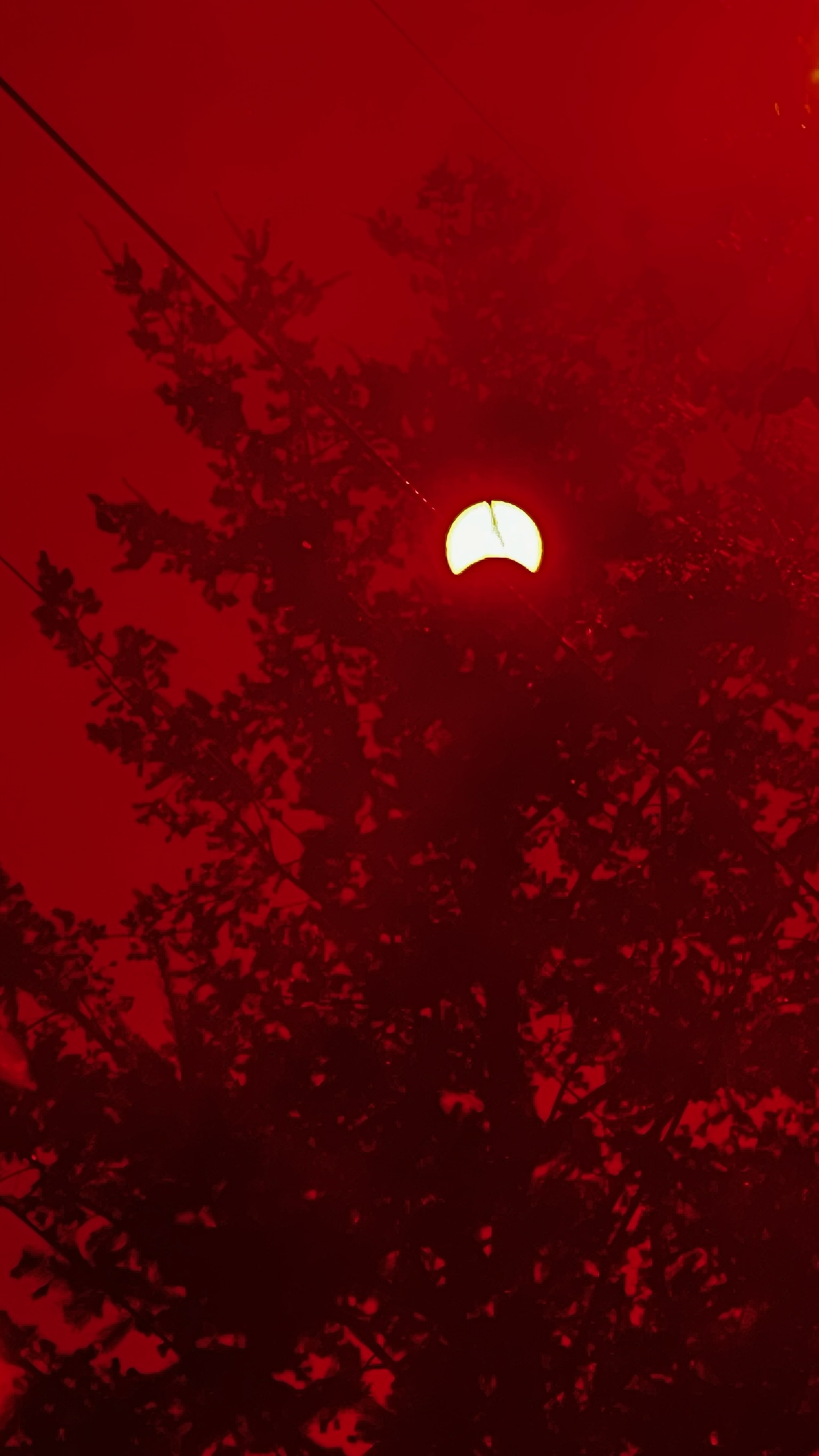 Murat Uraz Photography - 16