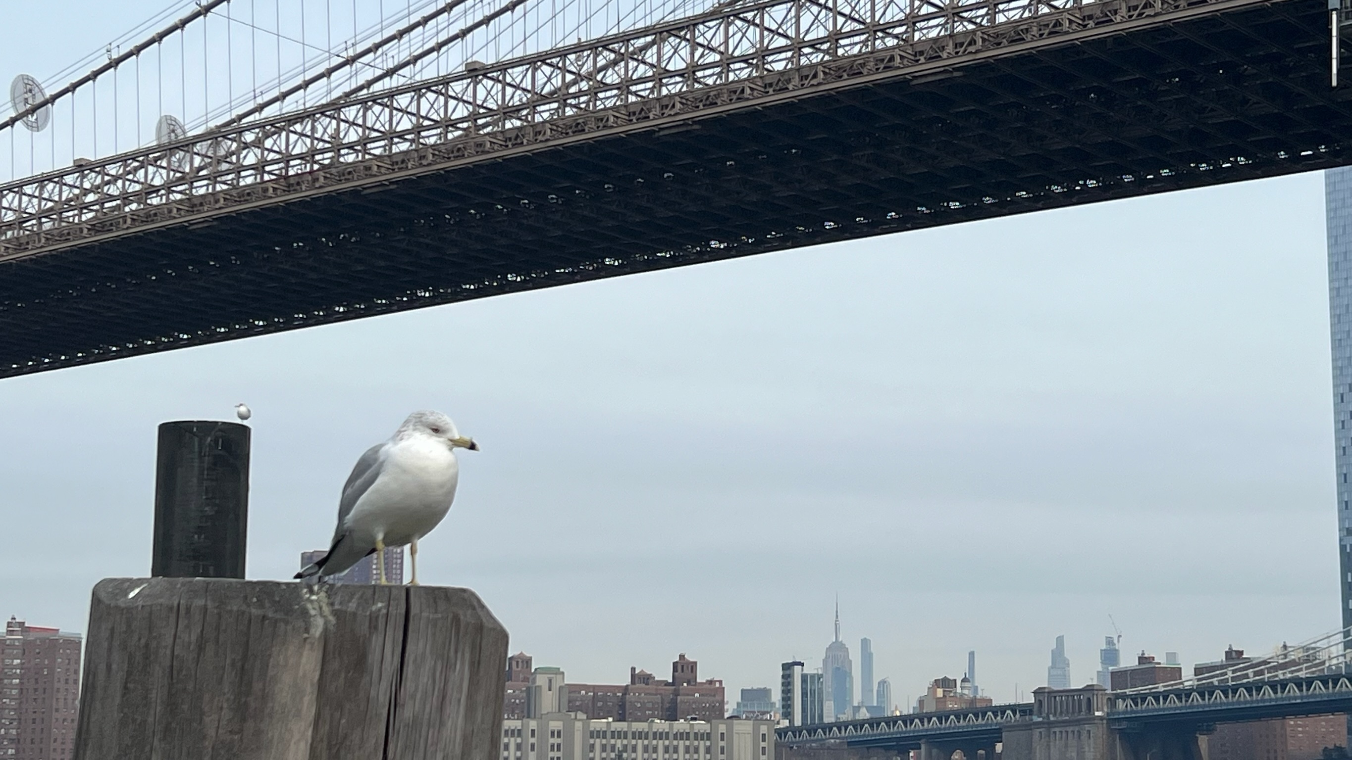 Murat Uraz Photography - 18