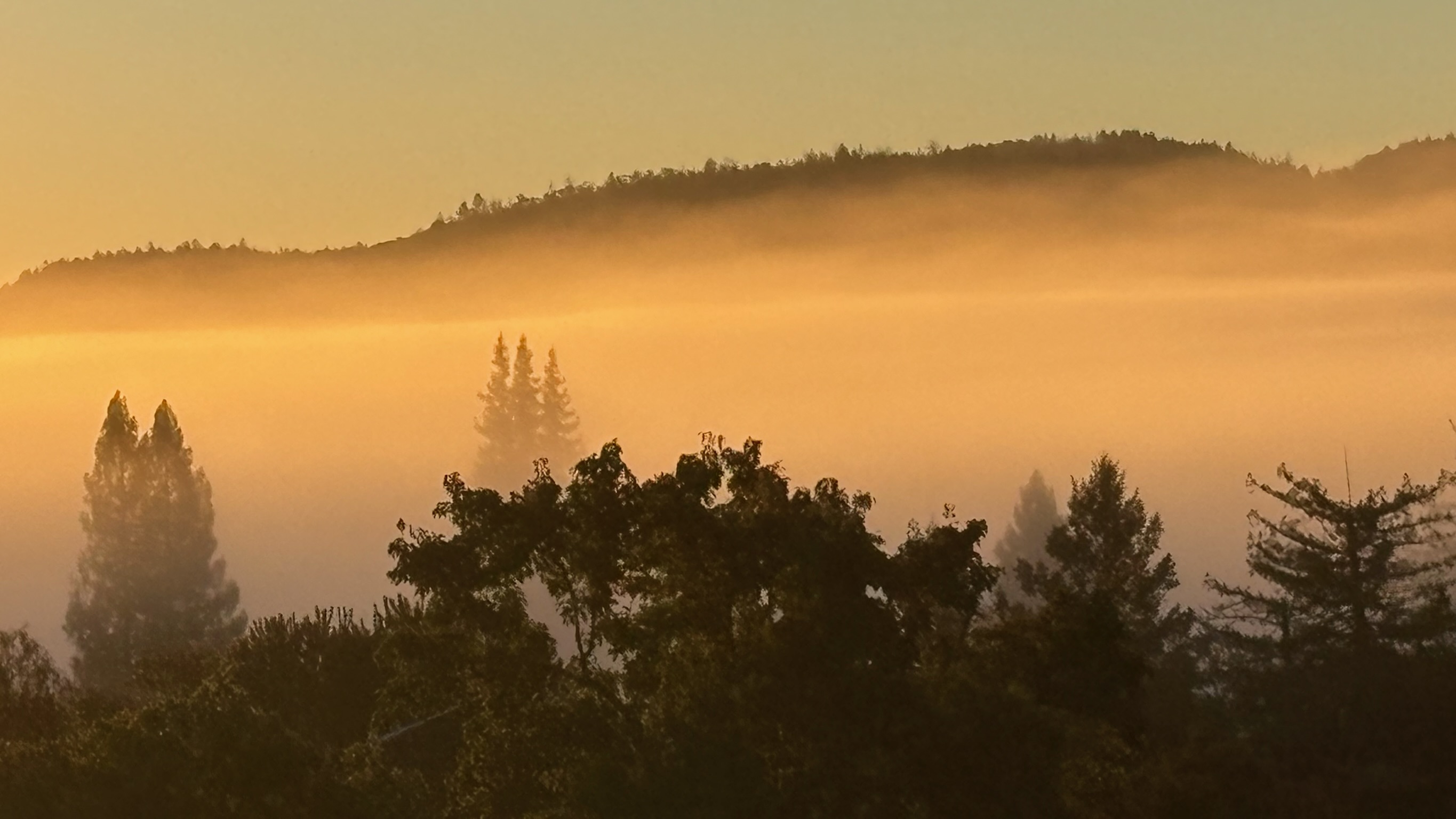 Murat Uraz Photography - 20