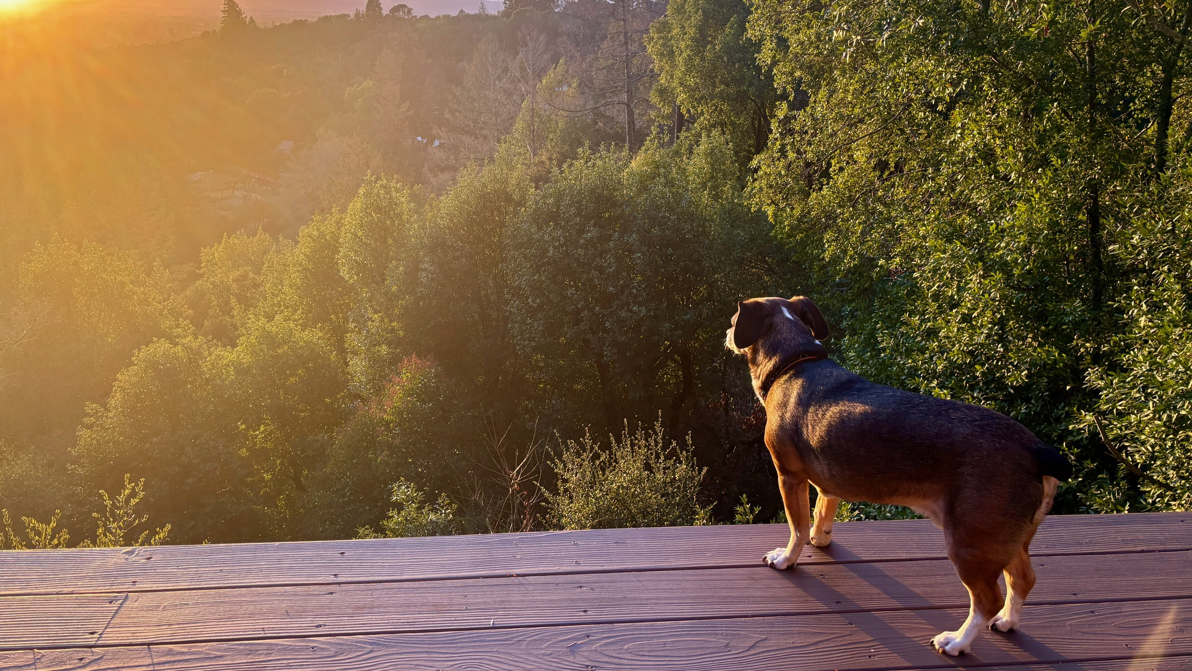 Murat Uraz Photography - 21