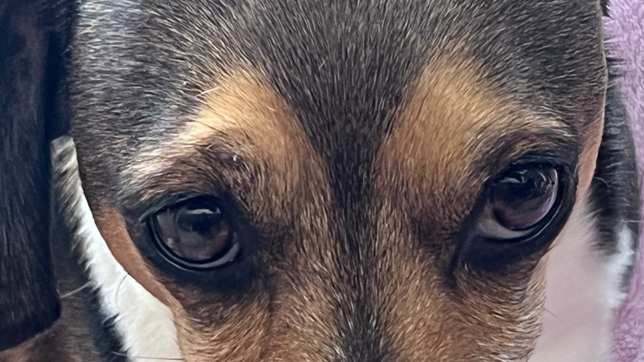 Murat Uraz Photography - 24