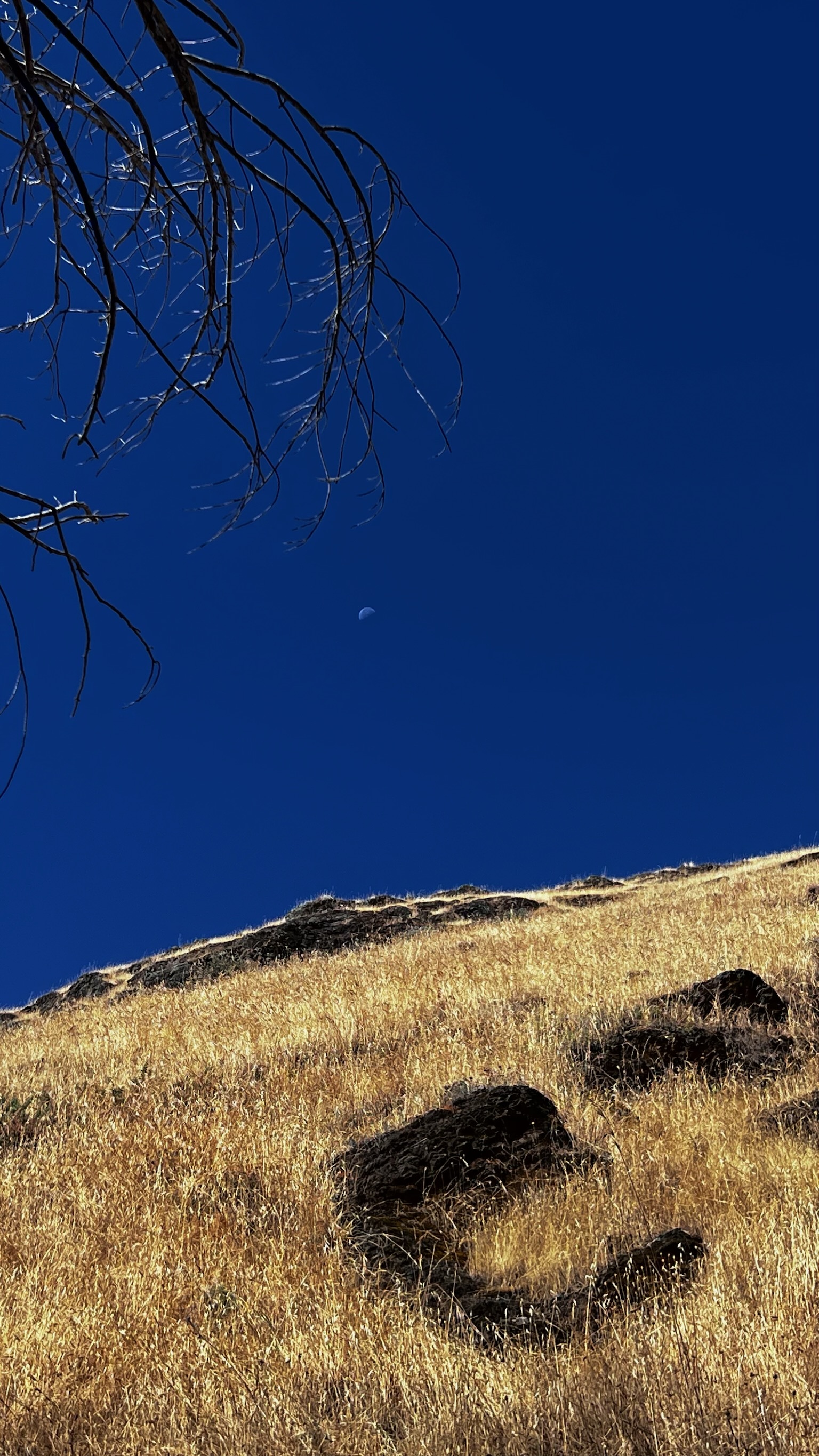 Murat Uraz Photography - 26