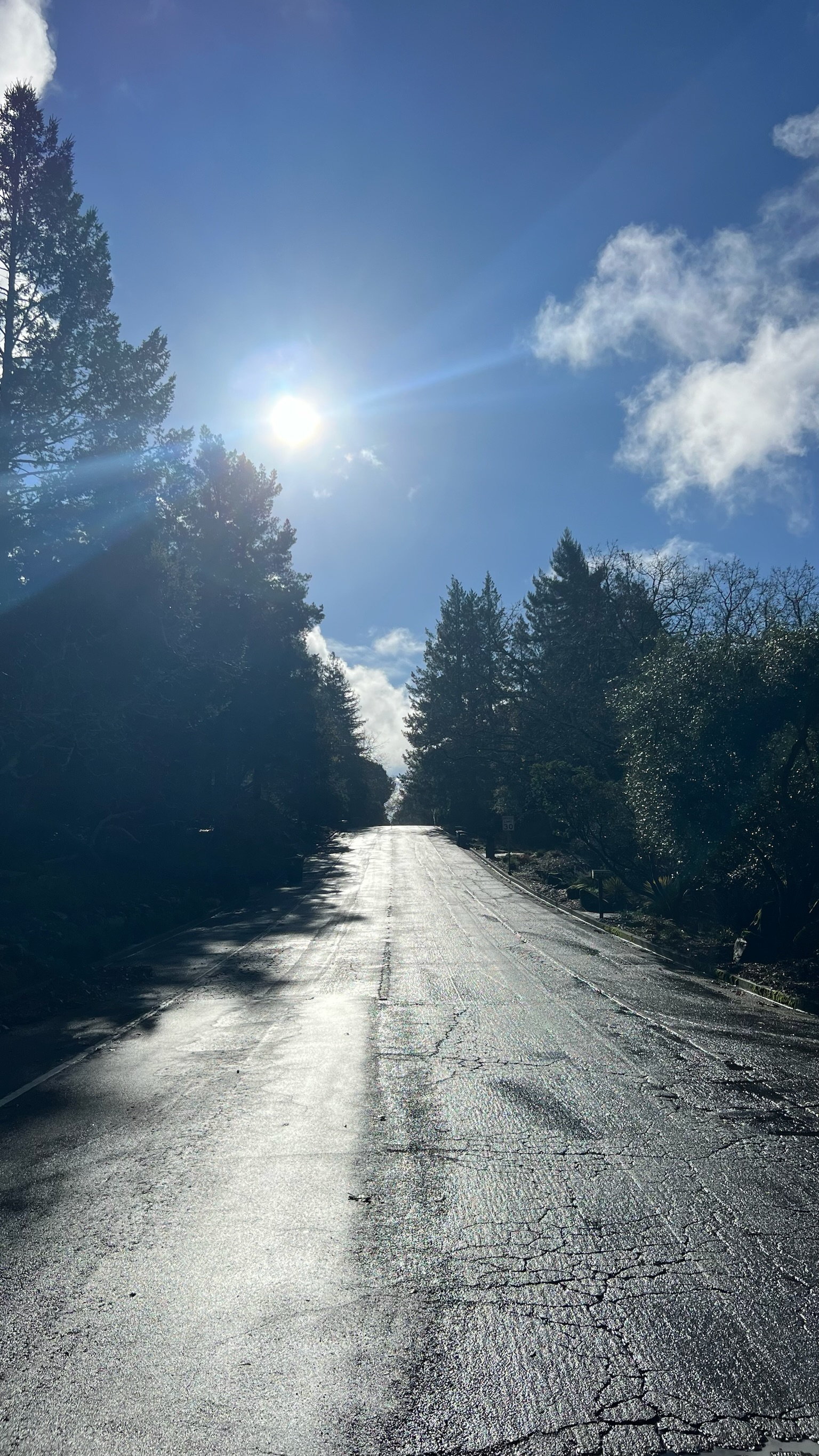 Murat Uraz Photography - 27