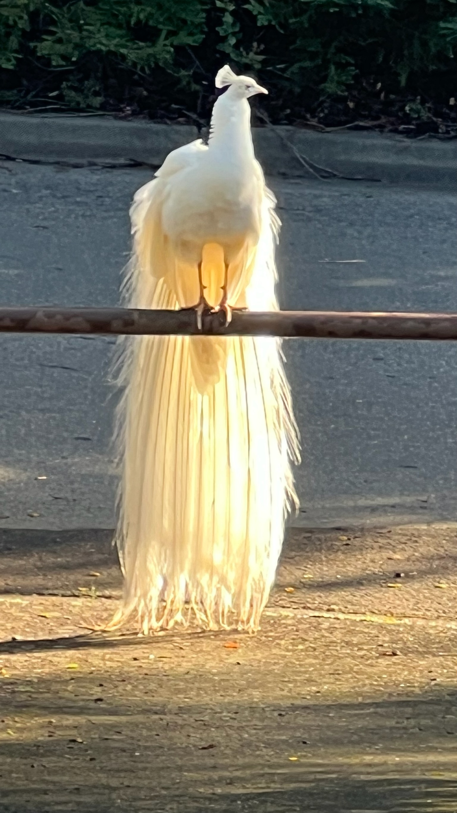 Murat Uraz Photography - 29