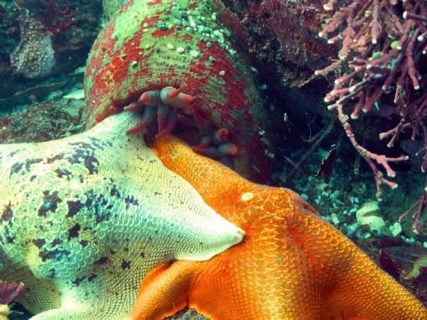 Murat Uraz Photography - 31