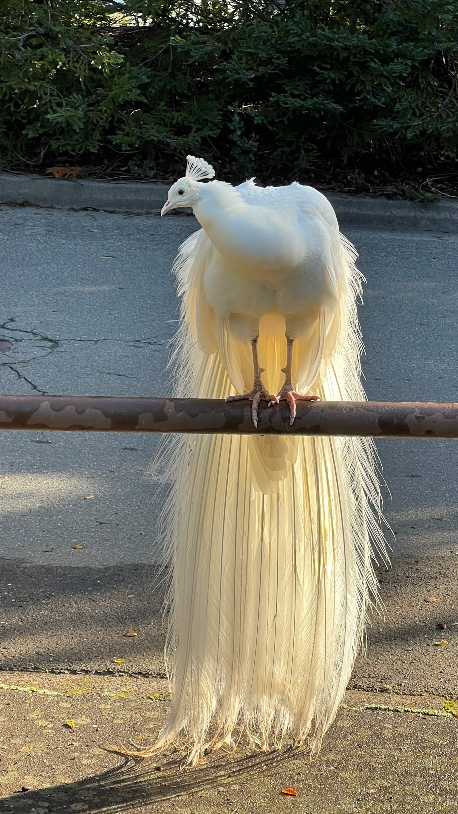 Murat Uraz Photography - 33