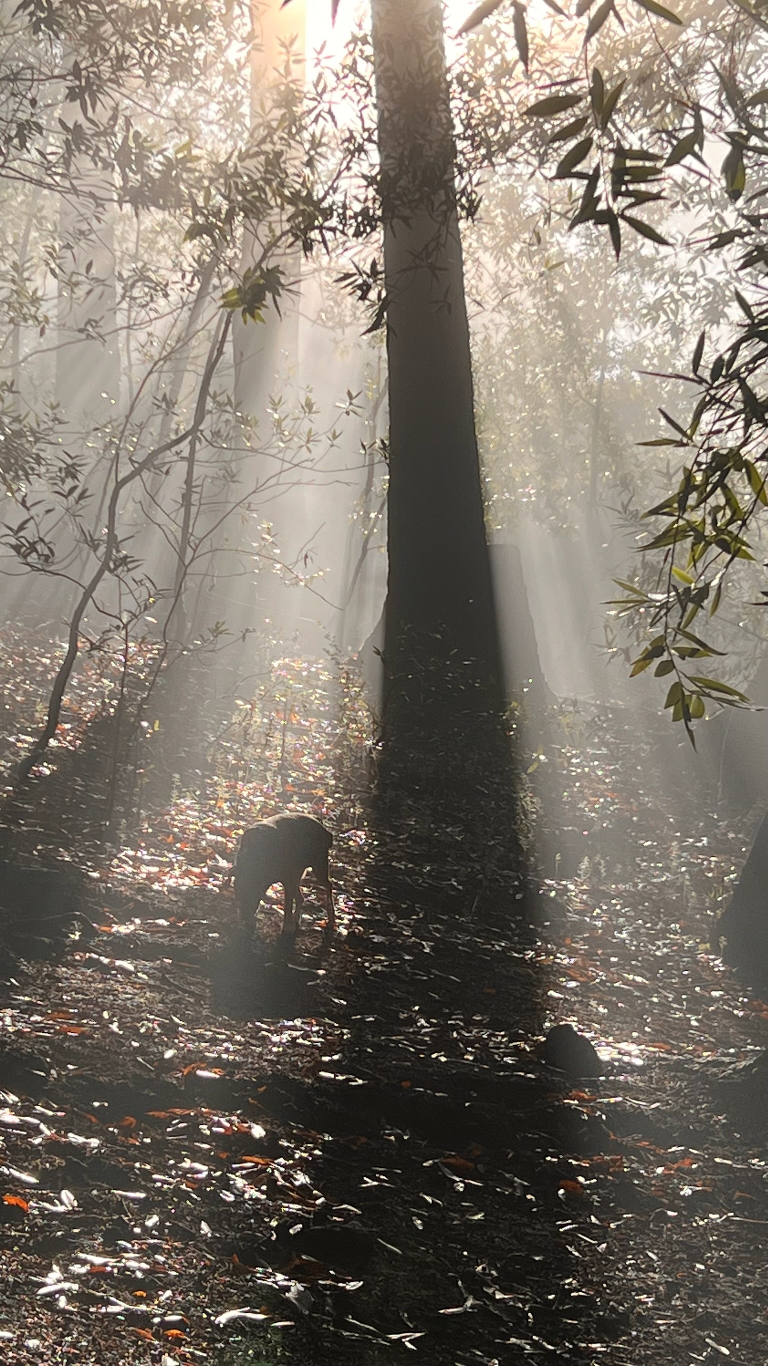 Murat Uraz Photography - 34