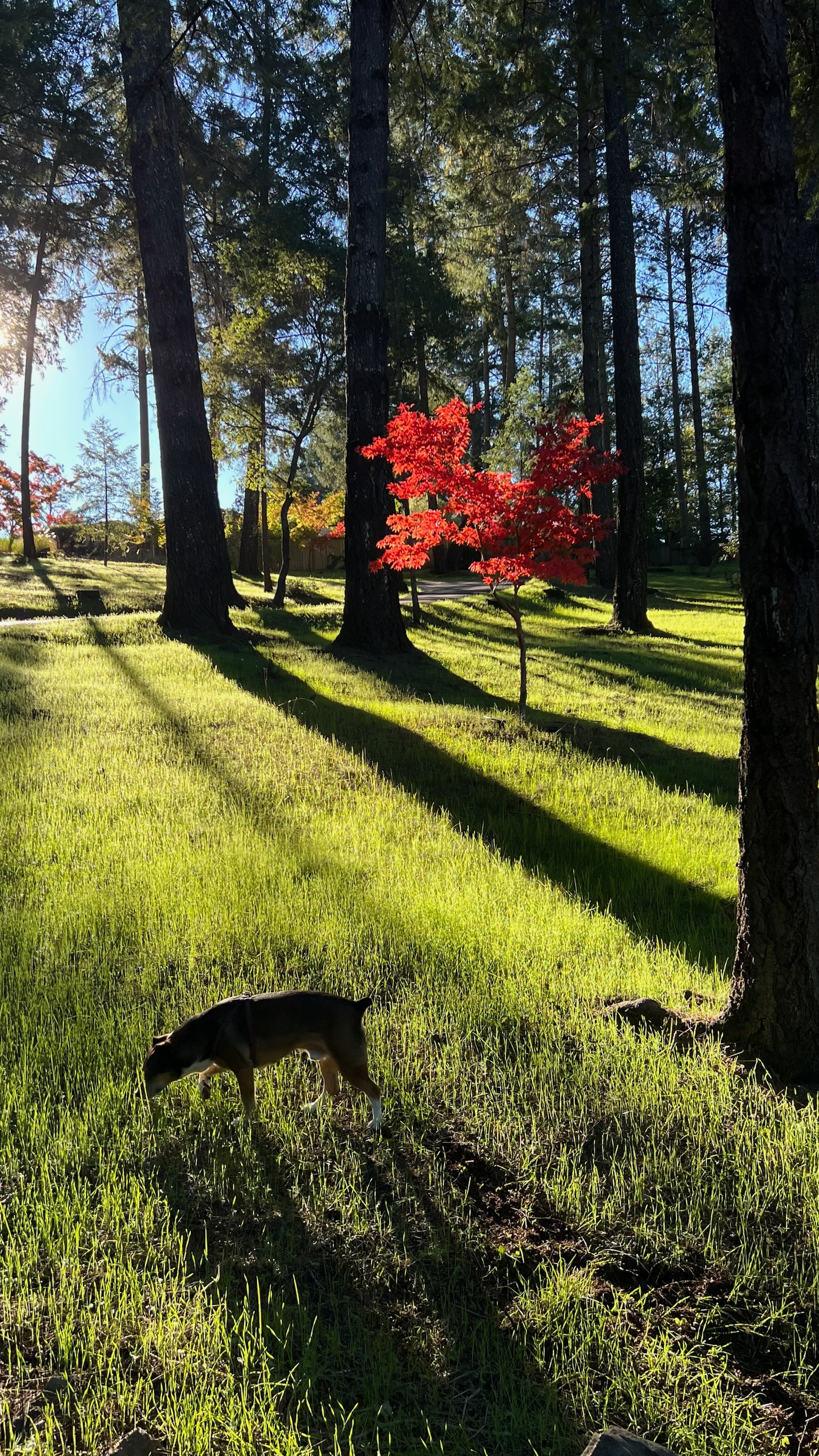 Murat Uraz Photography - 40